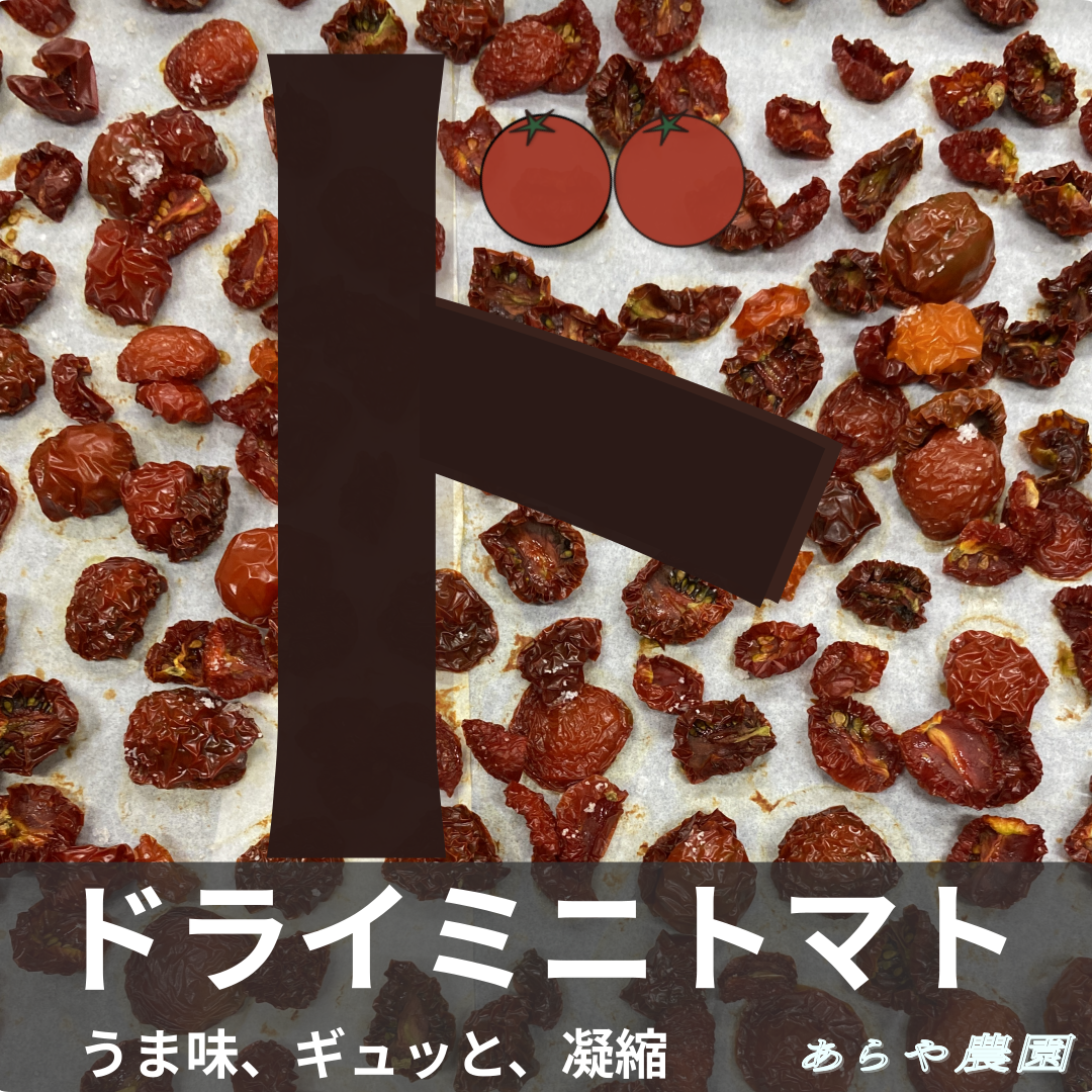 ドライミニトマト